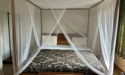 Double Executive 20