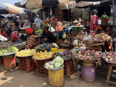 Visite des marchés locaux organisée par l'Hotel Masabi, une immersion dans la vie quotidienne des villages guinéens, avec une halte typique au marché coloré au bord du lac de Samaya.